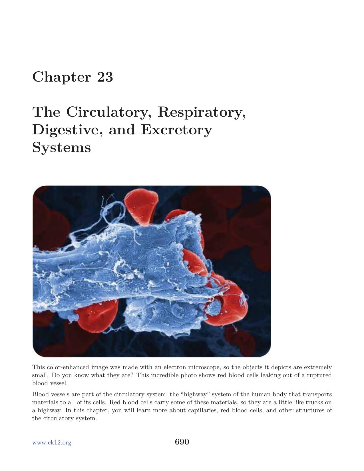 Biology : Chapter 23